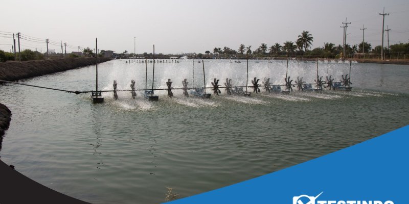 water quality monitoring system tambak udang