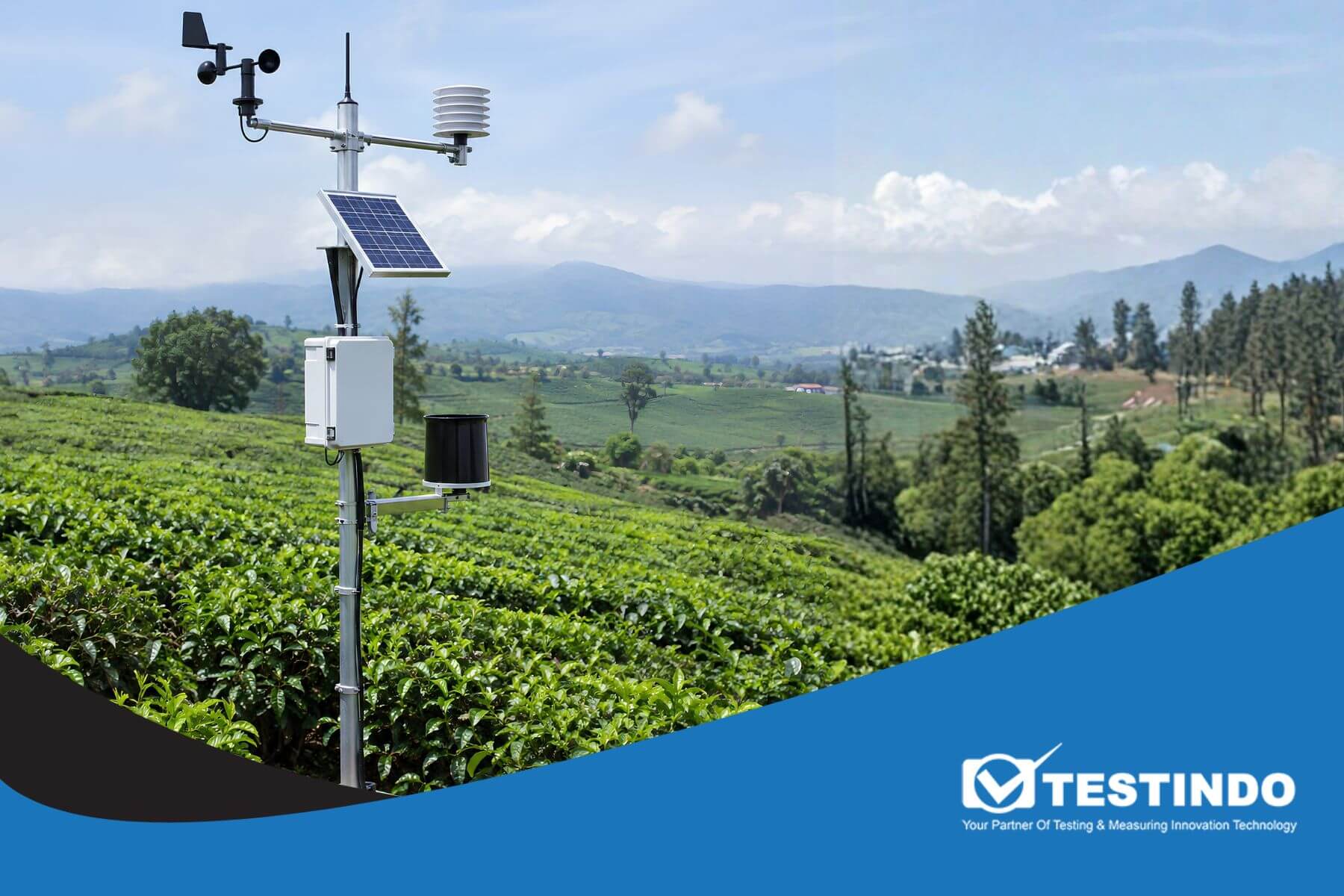 Pemantauan Kondisi Cuaca di Perkebunan Teh Menggunakan Automatic Weather Station