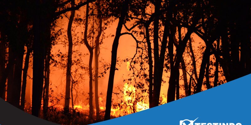 penyebab lahan gambut terbakar