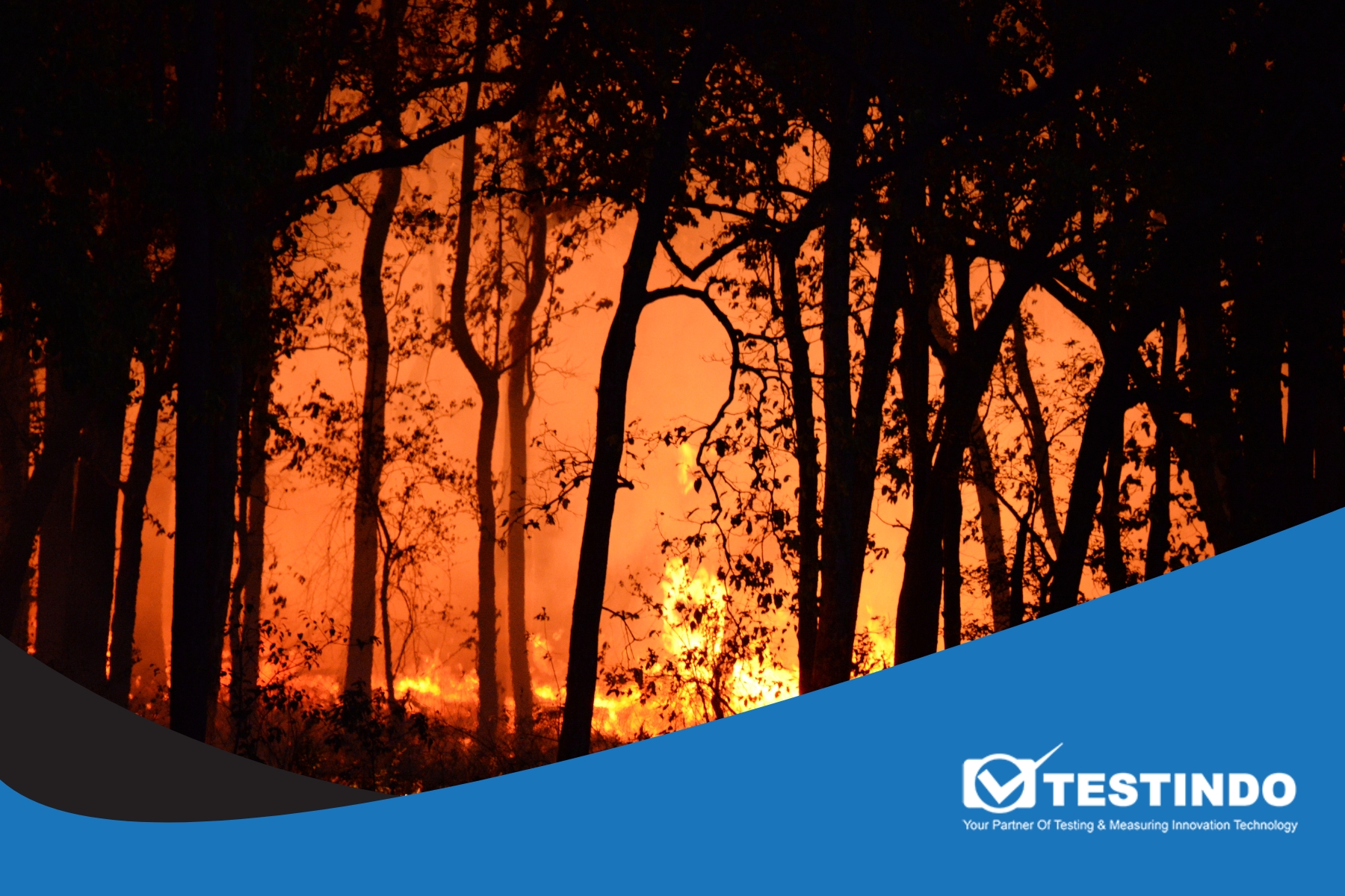 penyebab lahan gambut terbakar